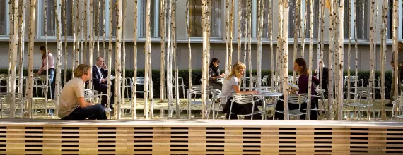 People seating outside